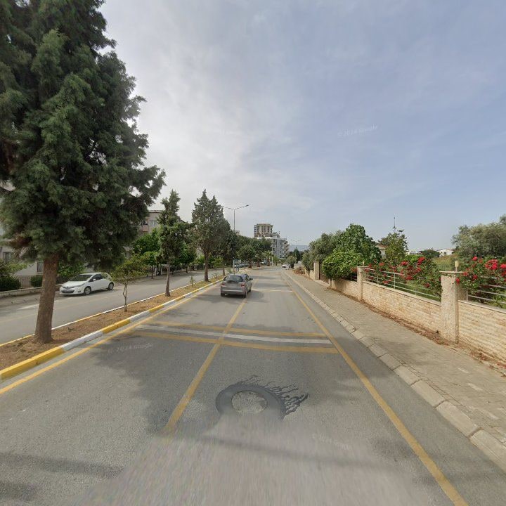 Fotoğraf 13