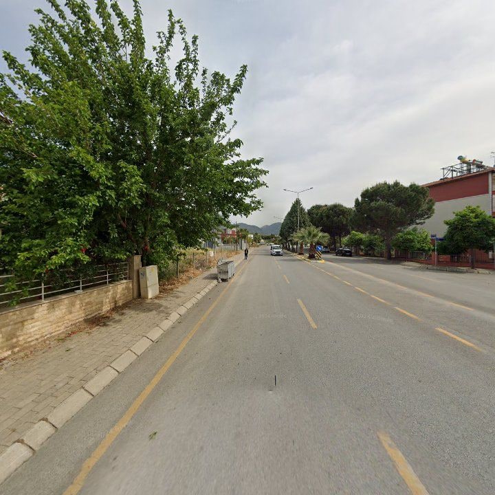 Fotoğraf 11
