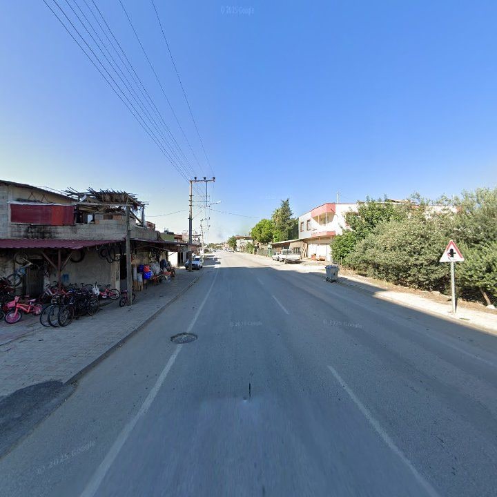 Fotoğraf 7