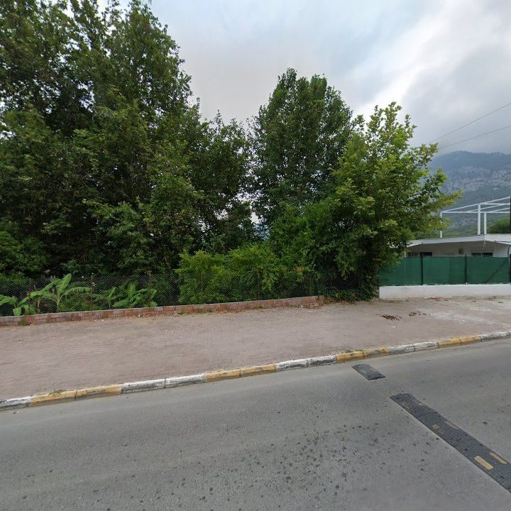 Fotoğraf 13