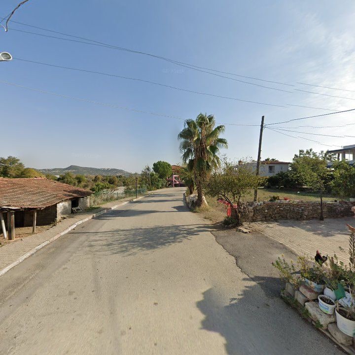Fotoğraf 7