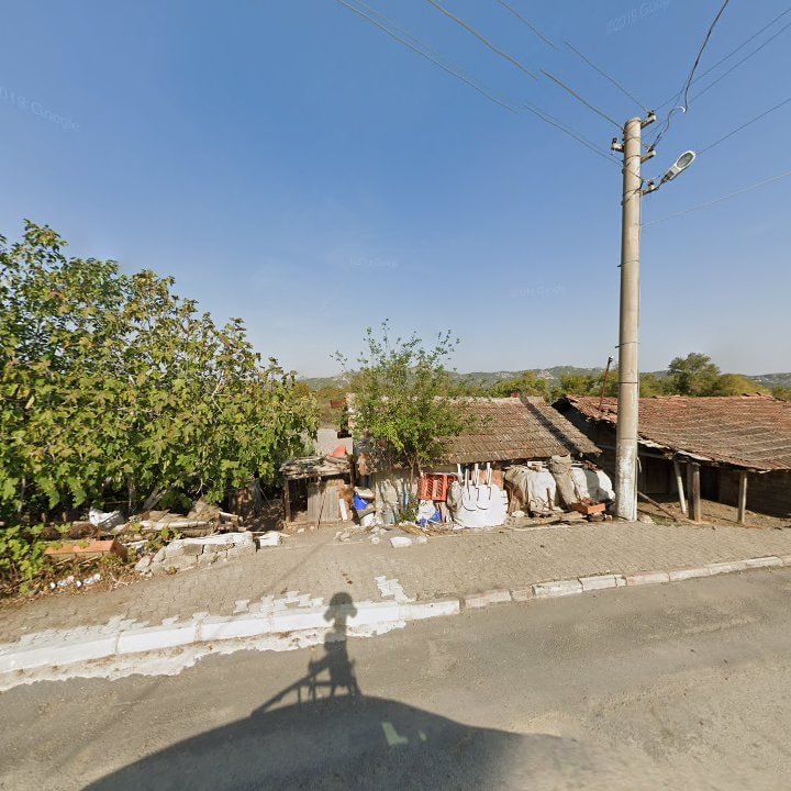 Fotoğraf 10