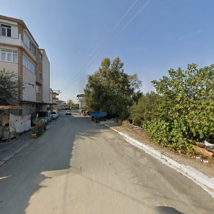 Fotoğraf 9