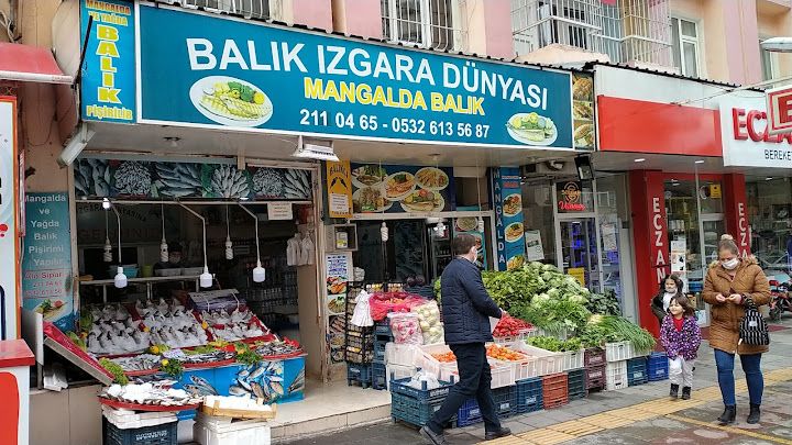 Balık Izgara Dünyası