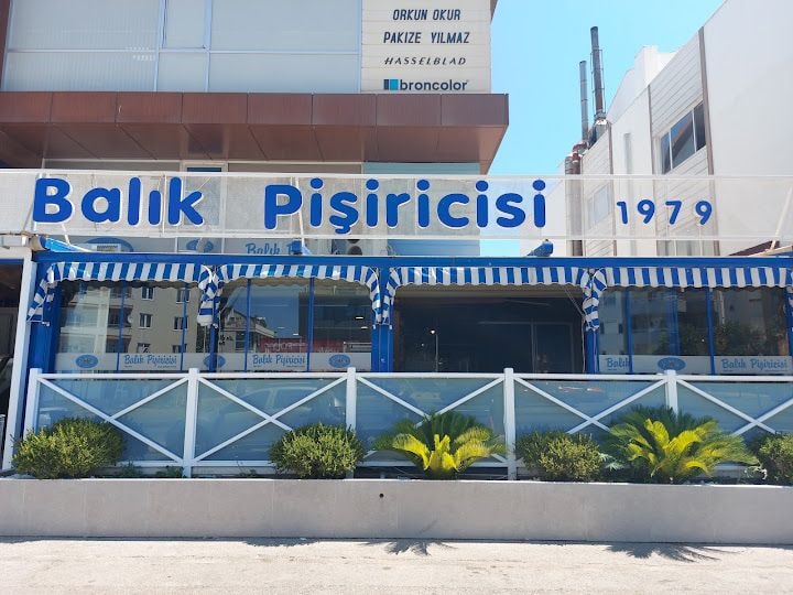 BALIK PİŞİRİCİSİ 1979