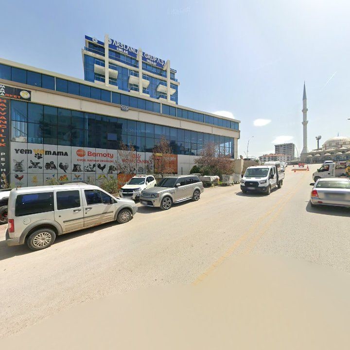 Fotoğraf 8