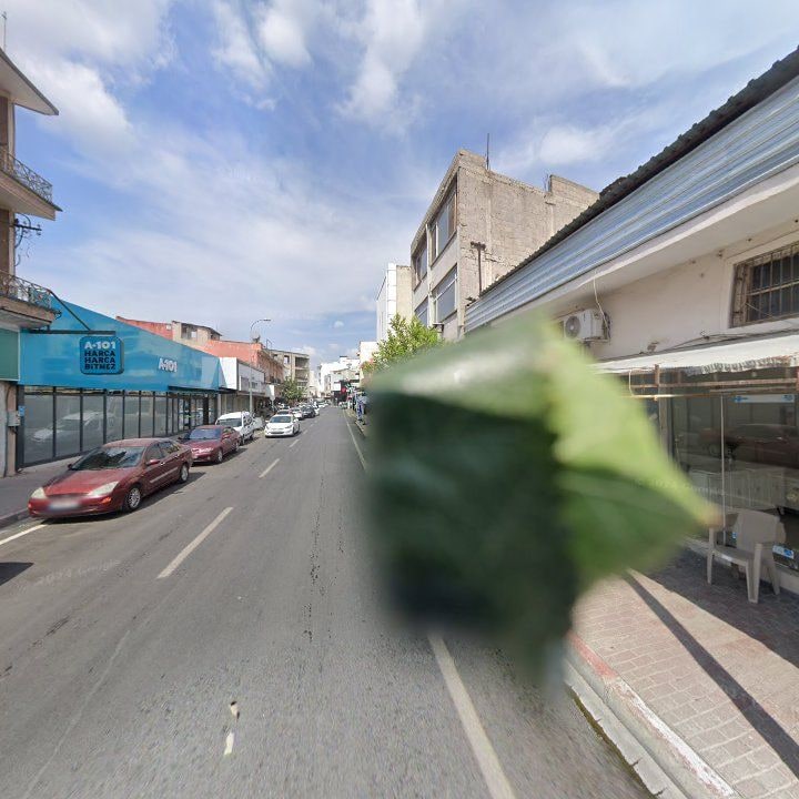 Fotoğraf 10