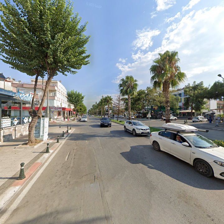 Fotoğraf 10