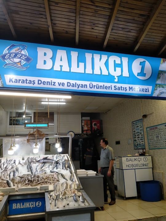 Balıkçı 1