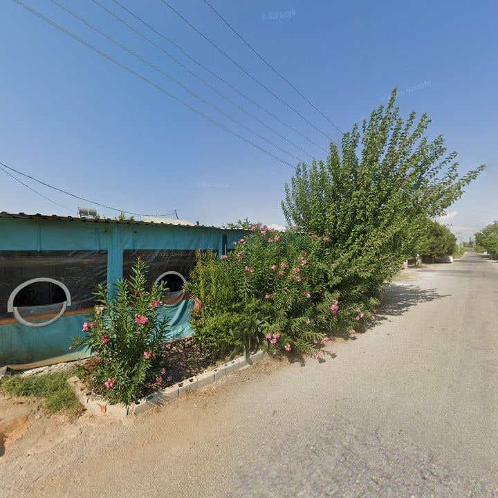 Fotoğraf 6