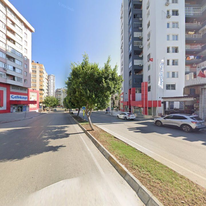 Fotoğraf 11