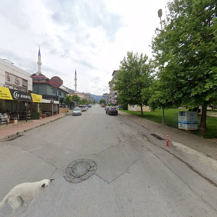 Fotoğraf 10