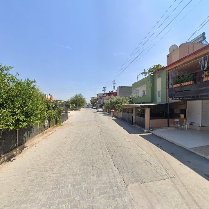Fotoğraf 5
