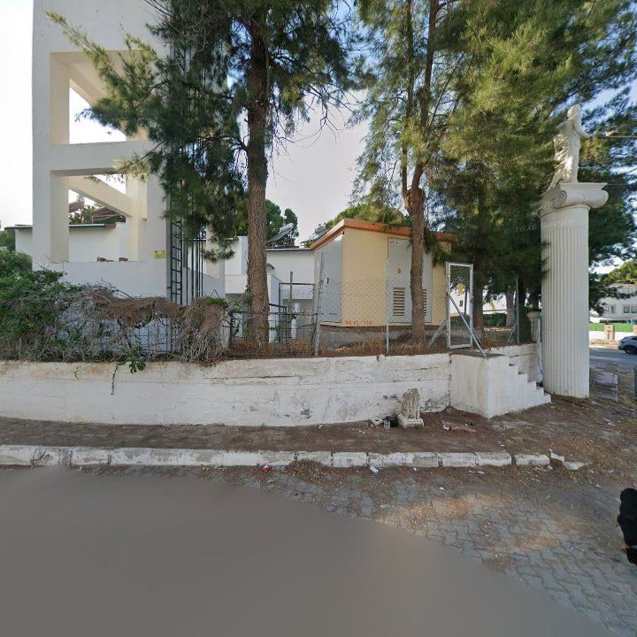 Fotoğraf 8