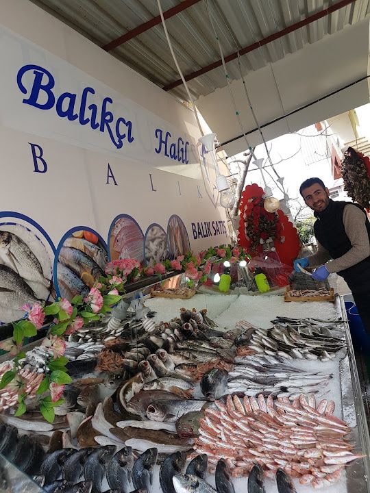 Fotoğraf 4