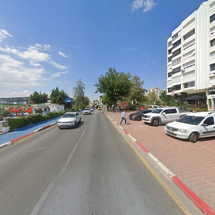 Fotoğraf 9