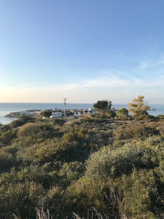 Balıkçı Limanı