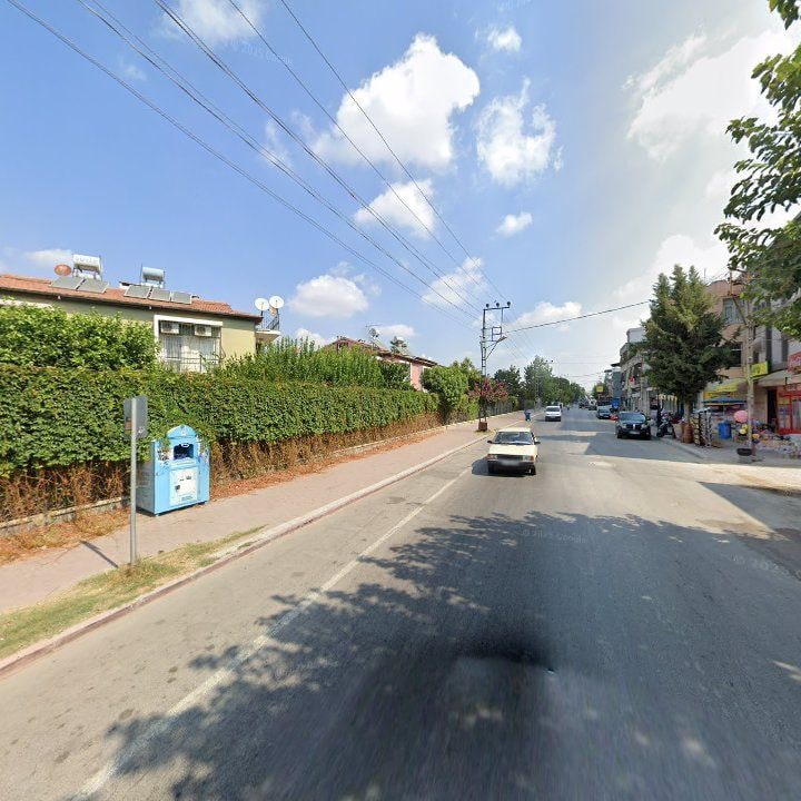 Fotoğraf 7