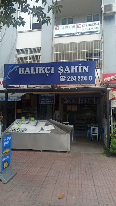 Balıkçı Şahin