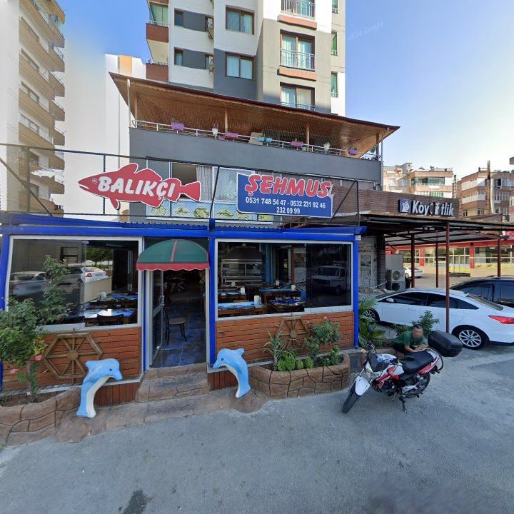Fotoğraf 7