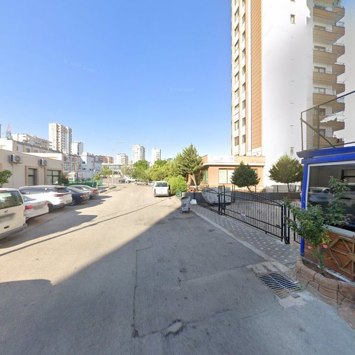 Fotoğraf 10