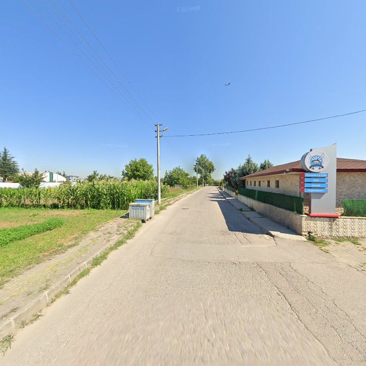 Fotoğraf 11