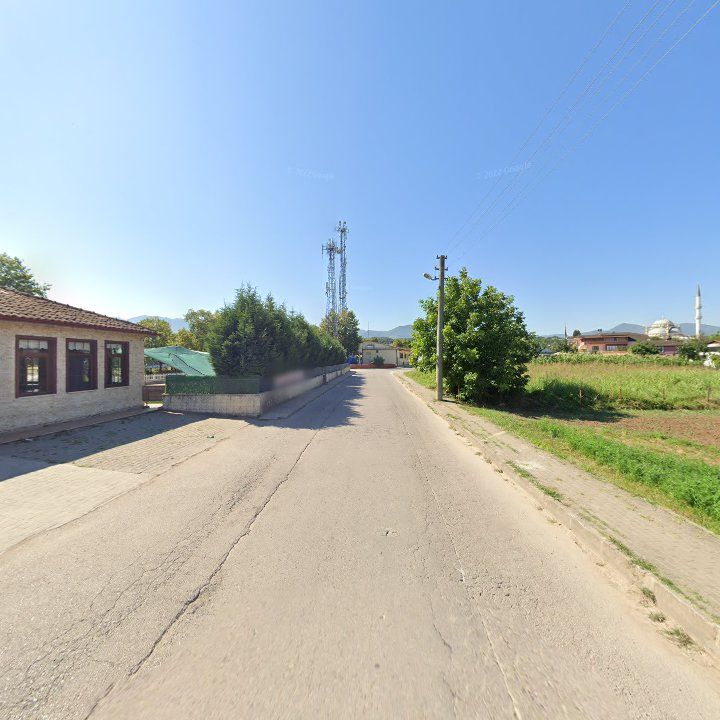 Fotoğraf 9