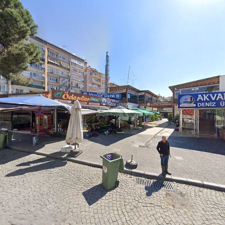 Fotoğraf 7
