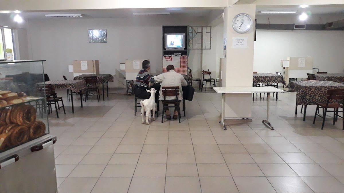 balıkesir kamyon garajı nakliyecileri Ve kahvehanesi