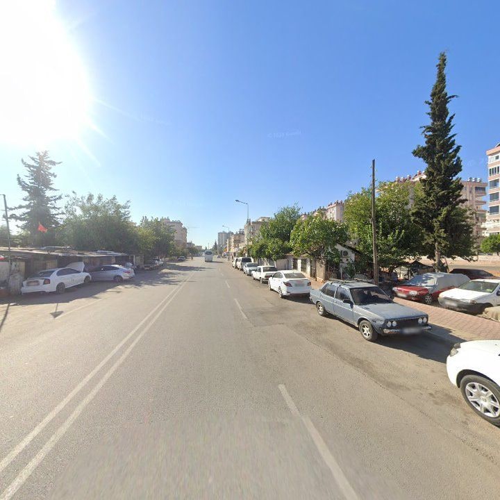 Fotoğraf 3