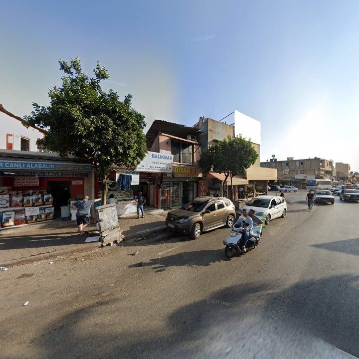 Fotoğraf 6