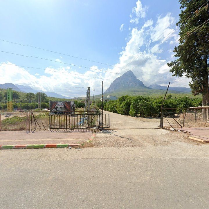 Fotoğraf 8
