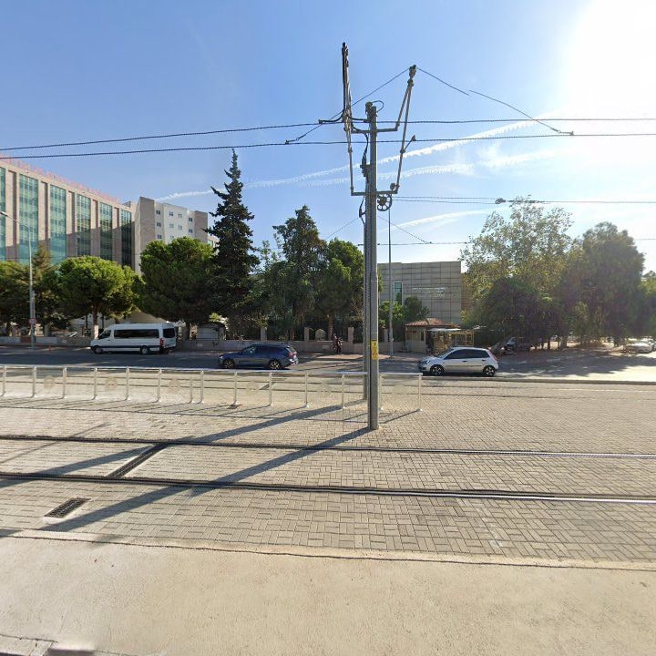 Fotoğraf 10
