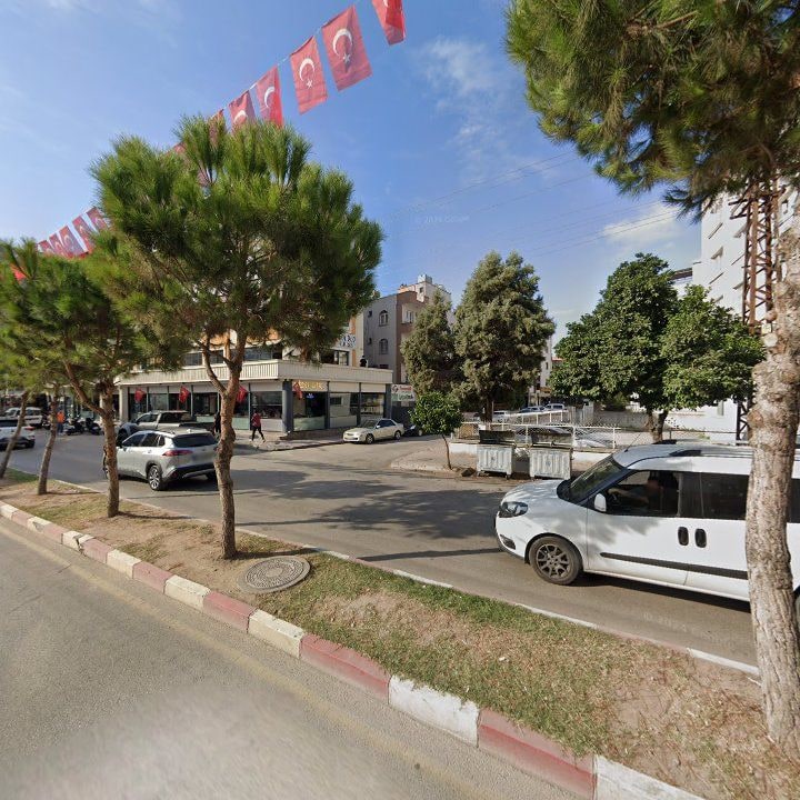 Fotoğraf 9