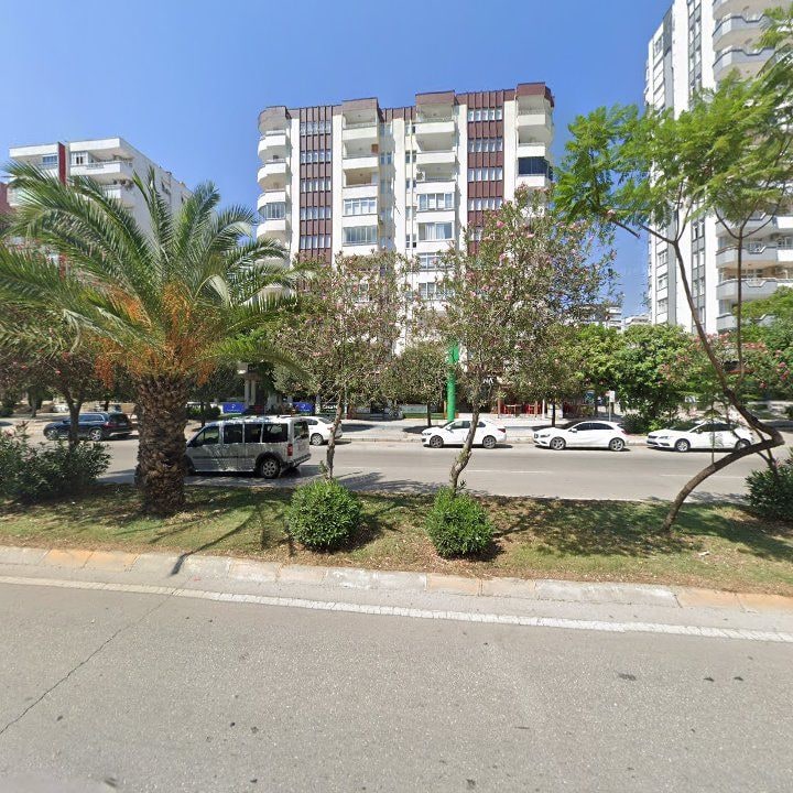 Fotoğraf 11