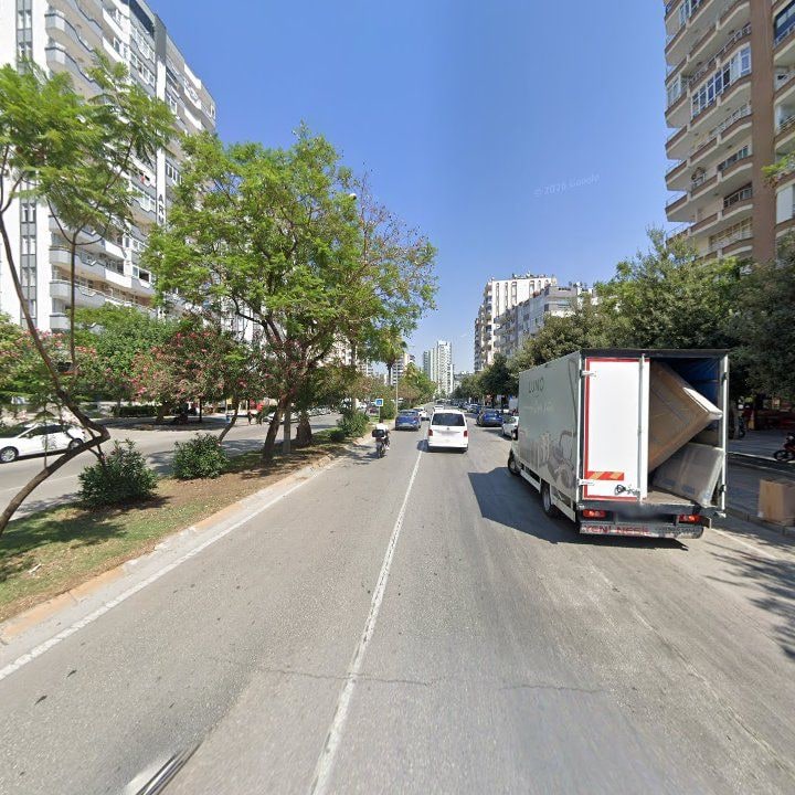 Fotoğraf 12