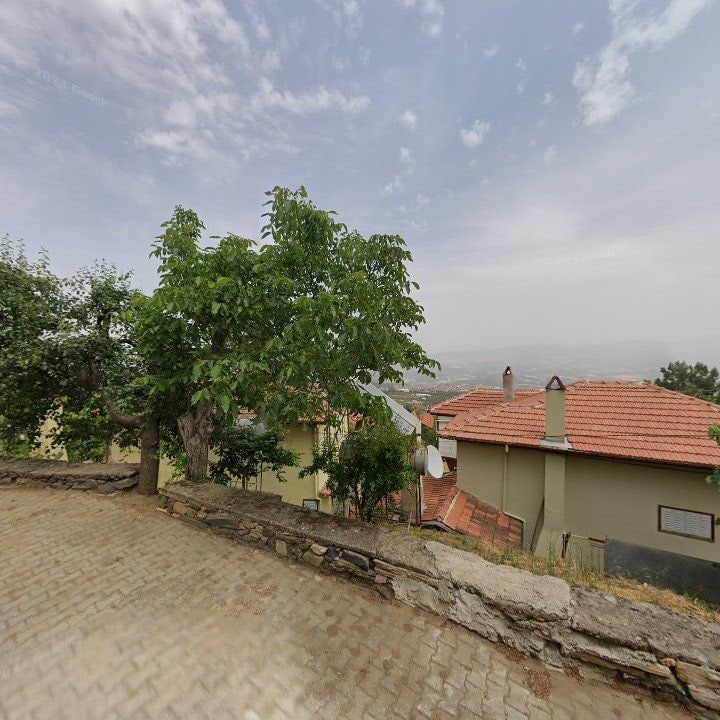 Fotoğraf 12