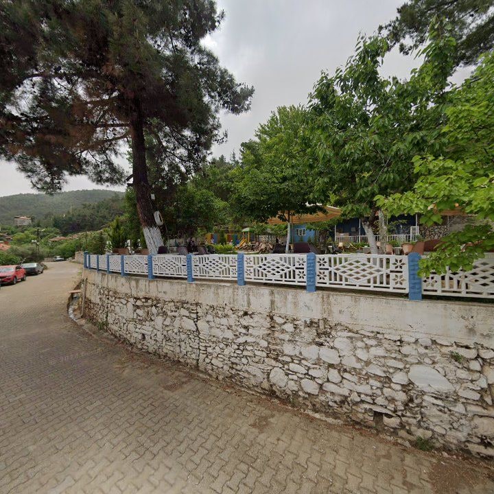 Fotoğraf 10