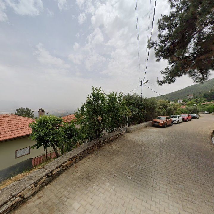 Fotoğraf 9