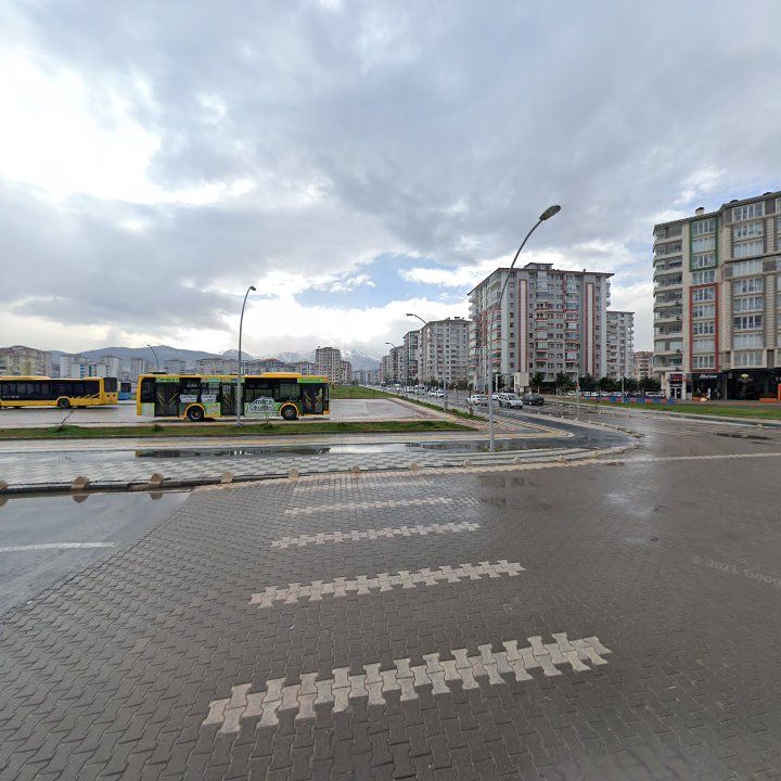 Fotoğraf 13