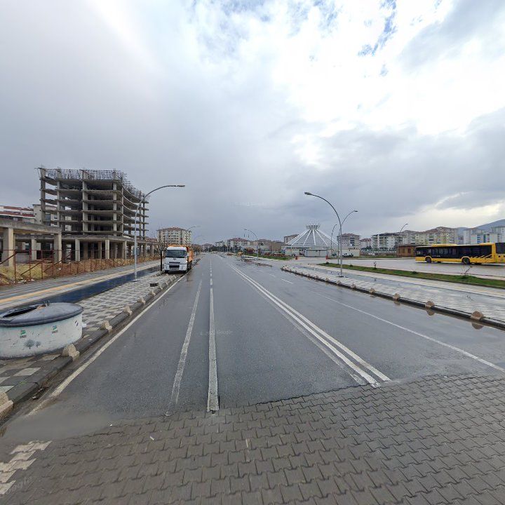 Fotoğraf 12