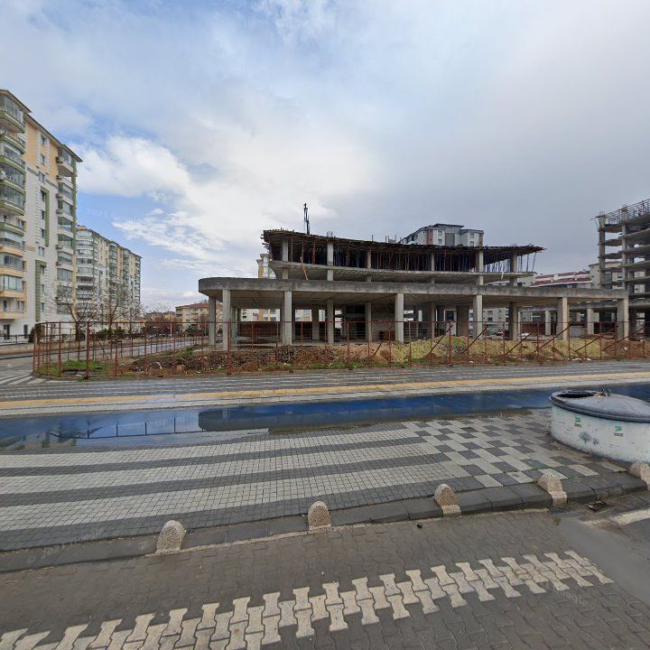 Fotoğraf 11