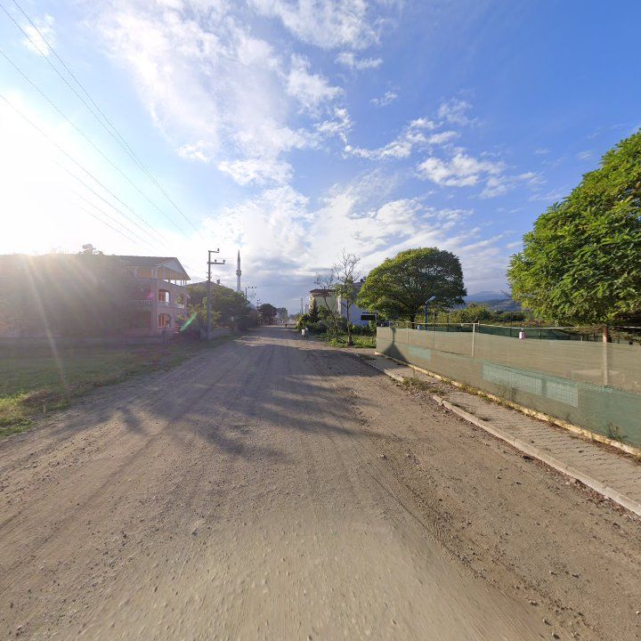 Fotoğraf 10