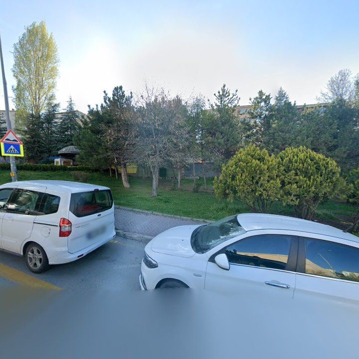 Fotoğraf 12