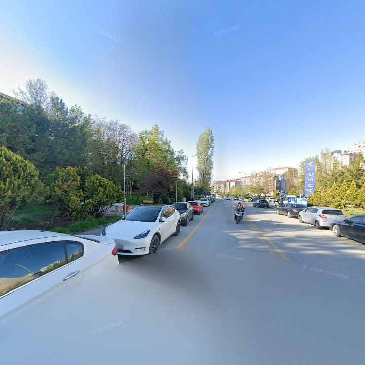 Fotoğraf 13