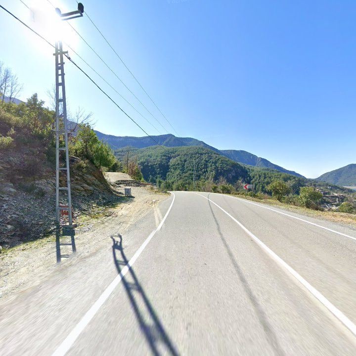 Fotoğraf 11
