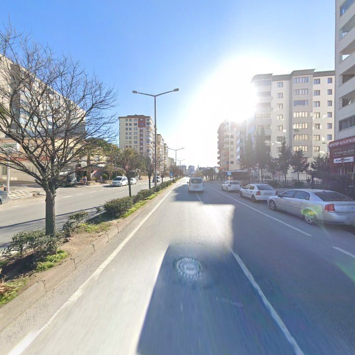 Fotoğraf 10