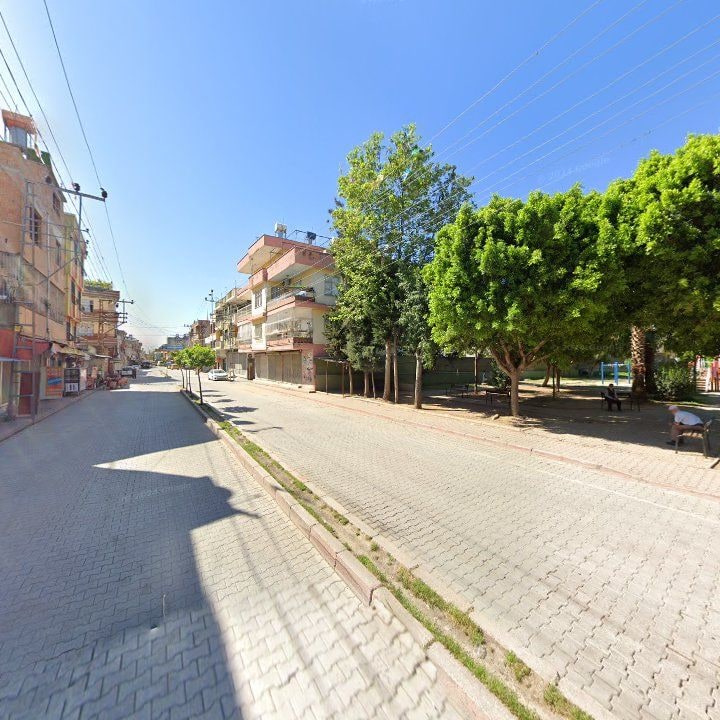 Fotoğraf 6