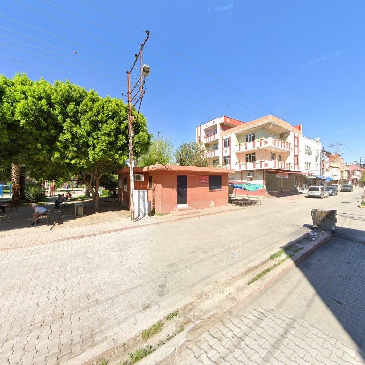 Fotoğraf 3