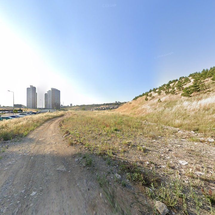 Fotoğraf 9